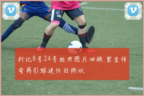 科比8号24号经典图片回顾 紫金传奇再引球迷怀旧热议