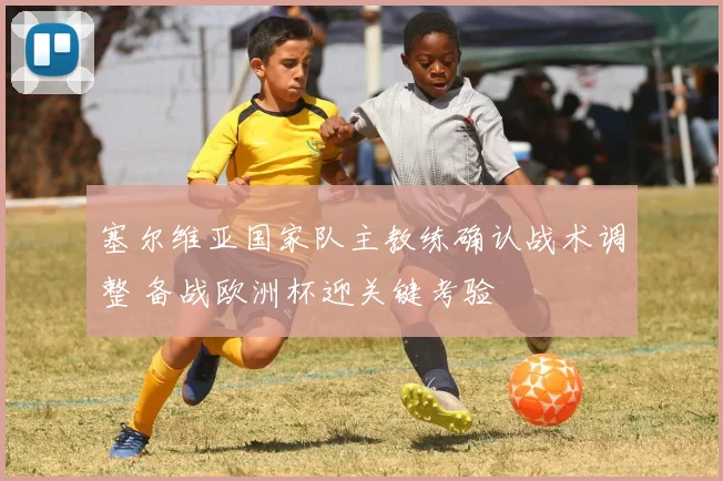 塞尔维亚国家队主教练确认战术调整 备战欧洲杯迎关键考验